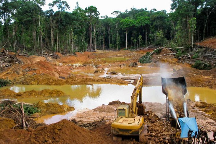 Las áreas protegidas no reducen la presión humana en hábitats tropicales