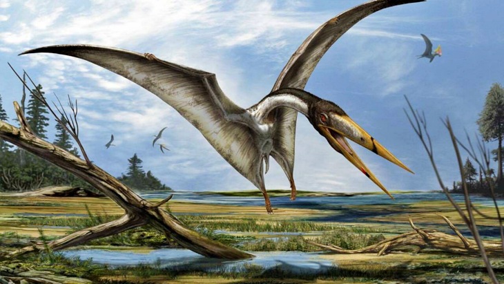 Un fósil muestra una nueva clase de reptiles voladores