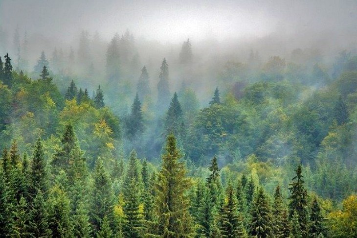 La actividad del ser humano ‘deteriora’ la naturaleza