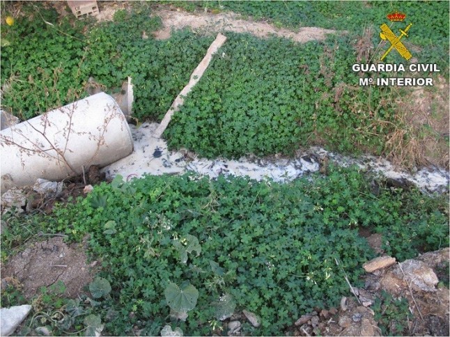Un vertido tóxico en Orihuela provoca la muerte de varias aves