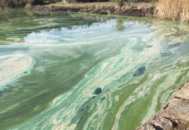 El Ayuntamiento de Valverde denuncia ante el Seprona un vertido en el dique de Campanario