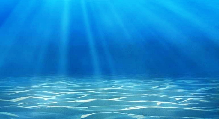 En el fondo del Índico hallan madera de hace 19 millones de años del Himalaya