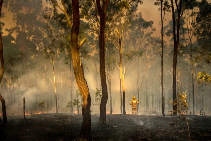 ‘Fridays for Future’ traslada su protesta del Congreso de los Diputados a la Embajada de Australia