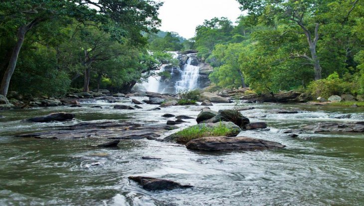 México. Registro de organización relacionada con la conservación y el aprovechamiento sustentable de la vida silvestre