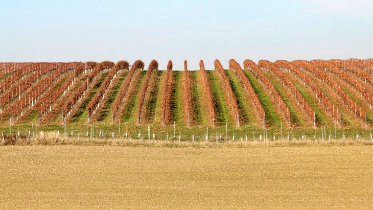Navarra en busca de la agricultura y ganadería sostenibles