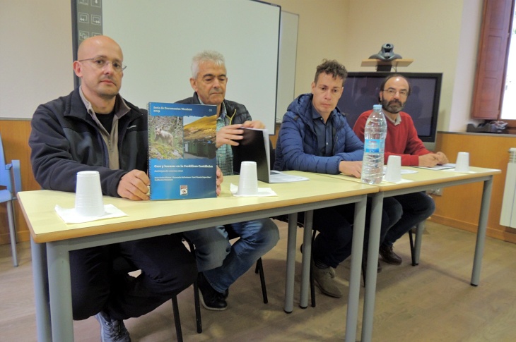 Osos rebuscando en las basuras de la Cordillera Cantábrica