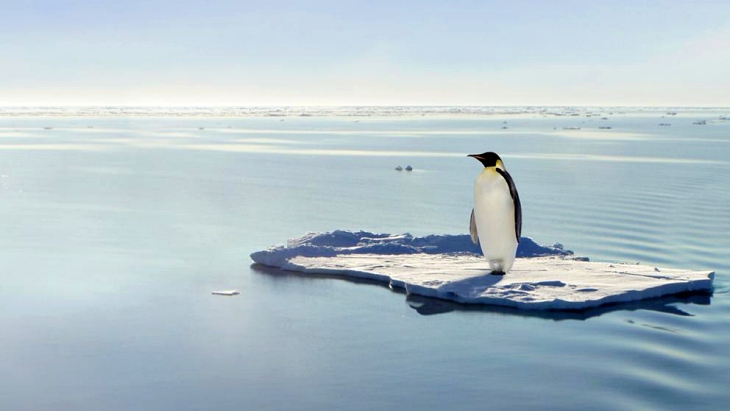El cambio climático ‘acecha’ al pingüino emperador