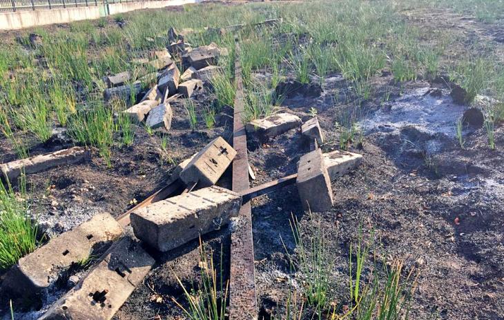 San Fernando - Coslada. Exigen la retirada de residuos del Bosque del Humedal de Coslada
