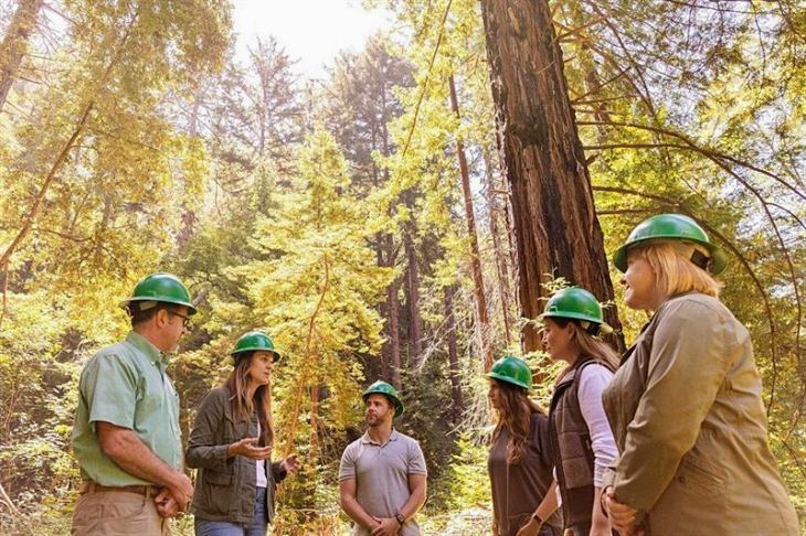 Alianza para restaurar y conservar 200.000 acres de bosque