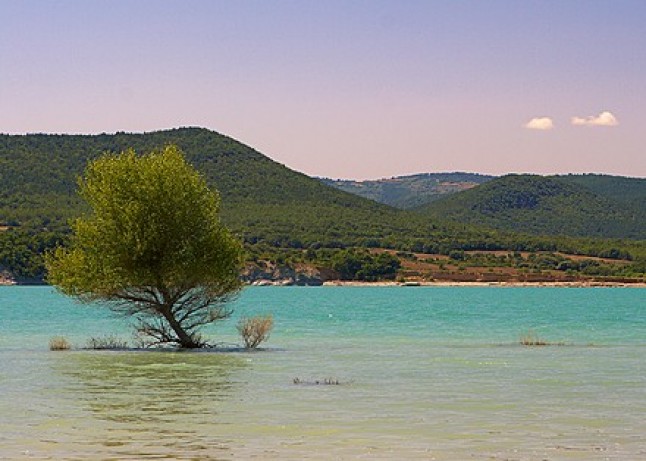 Se abren dos nuevos cotos para la pesca de cangrejo este miércoles en Sorauren y Yesa