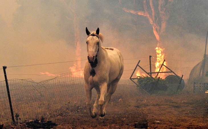 Todas las claves de la ‘pesadilla’ de Australia