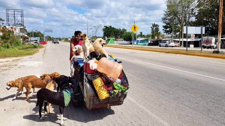 México. El hombre que recorre el país para rescatar a los perros abandonados de la calle