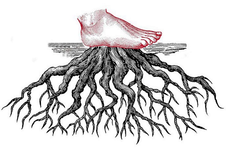 Libros recomendados por ECOticias.com: ‘El Subsuelo’ de David W. Wolfe