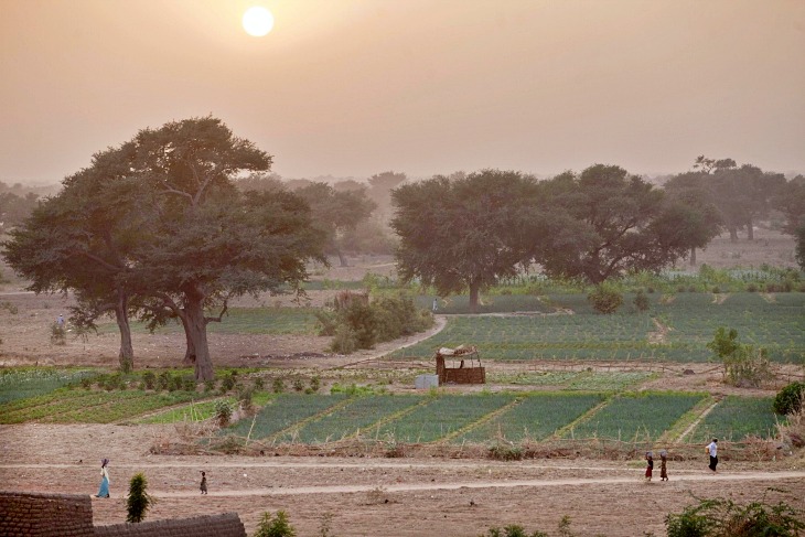 Cuál es la solución al cambio climático