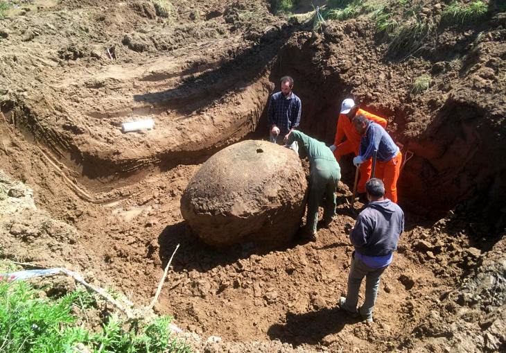Rescataron los fósiles del gliptodonte hallado en Ezeiza