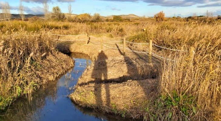 Restaurando los humedales Ojos de Pontil