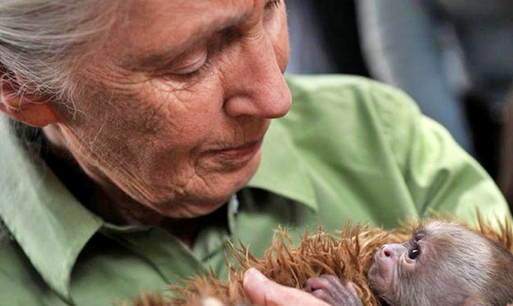 Jane Goodall