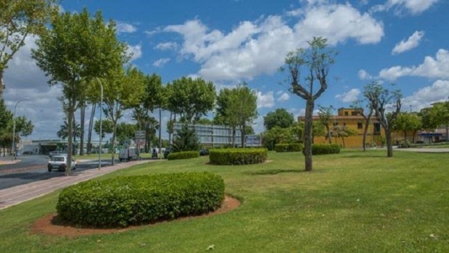 El nuevo contrato de zonas verdes en Sevilla arranca el 1 de marzo