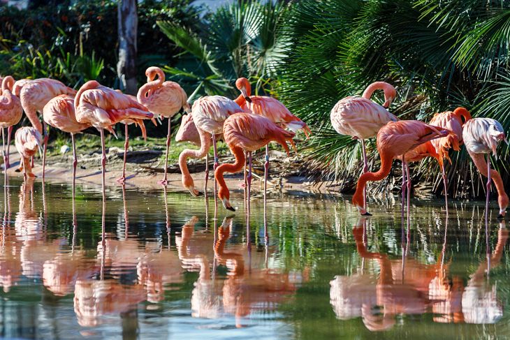 Por una gestión transparente del Zoo de Barcelona