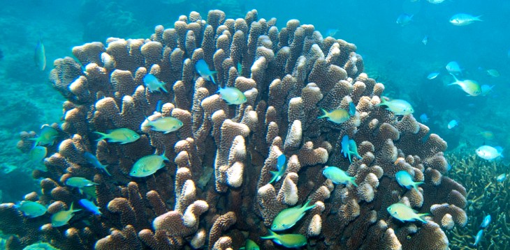 Increíble vuelco científico