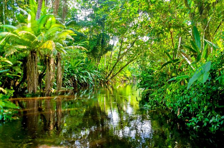 El África Tropical emite cantidades ingentes de metano