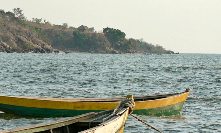 Hembras de peces que generan nuevas especies al no tener claro su pareja