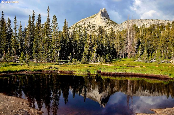 Dónde y cómo nació la ‘conciencia ecológica’