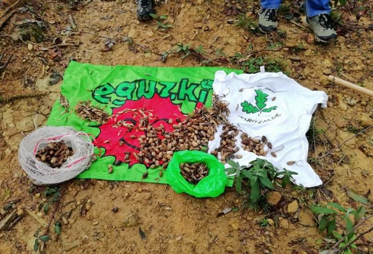 El Ayuntamiento de San Sebastián no ha cumplido su palabra y no ha revegetado la ladera de Lourdes Txiki
