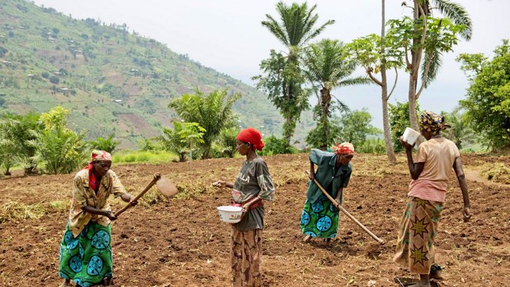 El sistema agroalimentario global crea ‘profundas’ injusticias
