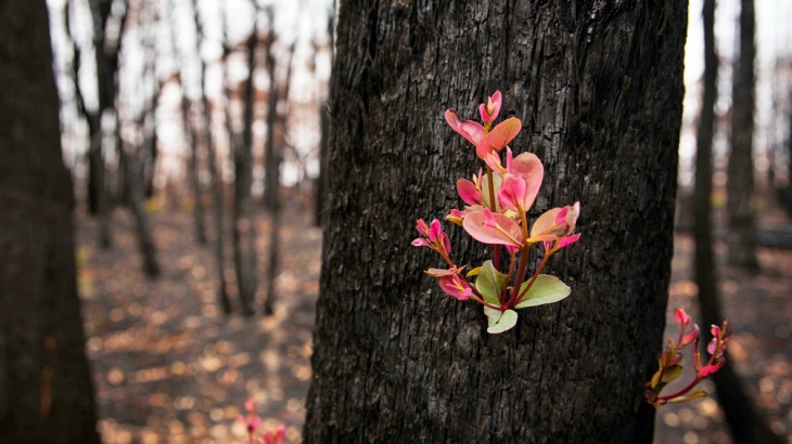 La ‘increíble’ fuerza de la naturaleza en Australia