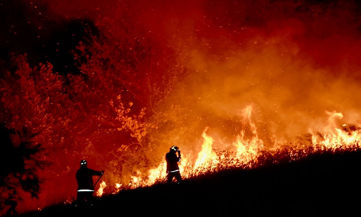 Las ‘FAKE NEWS’ más insólitas y aberrantes sobre los incendios forestales de Australia