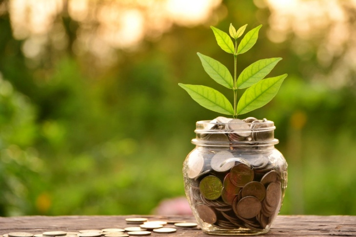 Inversión Ecológica