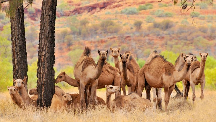 Zero Draft (borrador cero)