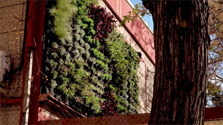 Los colegios de la Comunitat Valenciana ‘van de cara’ para paliar la crisis climática con comedores verdes