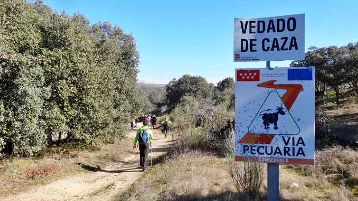 No preguntes por qué se caza en las vías pecuarias