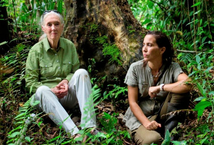 Sabes quién es la nueva Jane Goodall