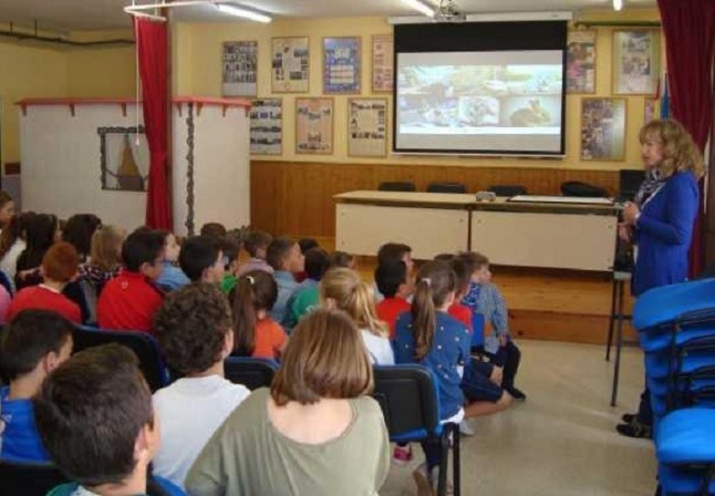 Campaña de Bienestar Animal y Tenencia responsable de mascotas lanzada por el Colegio de Veterinarios de Asturias