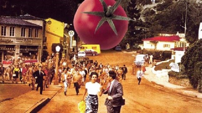 Convocatoria abierta para participar con un cortometraje en el Humus Film Festival