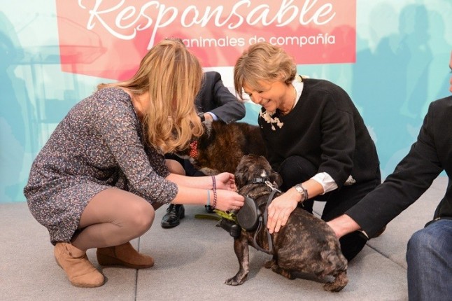 El Gobierno apela a la suma de conciencias y compromisos con los animales de compañía