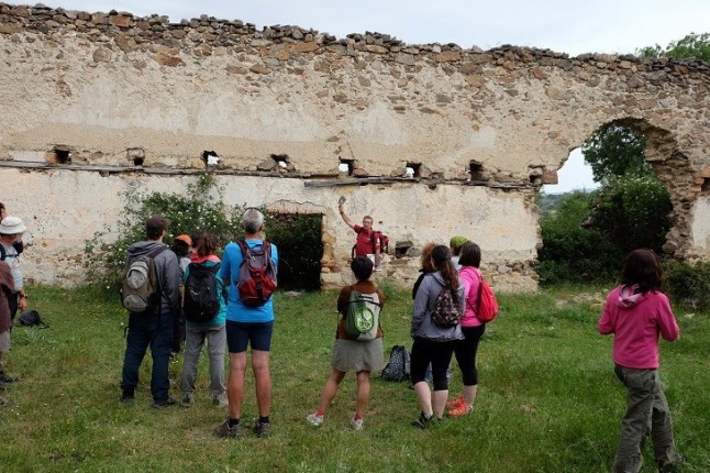 El paisaje de la lana