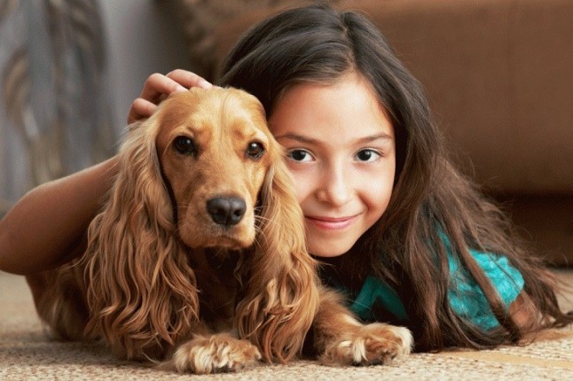 Asturias y la aplicación del Convenio Europeo sobre Protección de animales de compañía