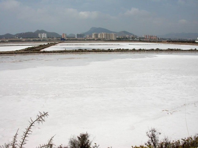 Recuperando la actividad salinera de Marchamalo impulsando el ecoturismo