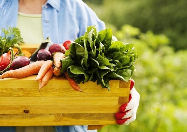 Medio Ambiente organiza dos Jornadas sobre alimentos ecológicos