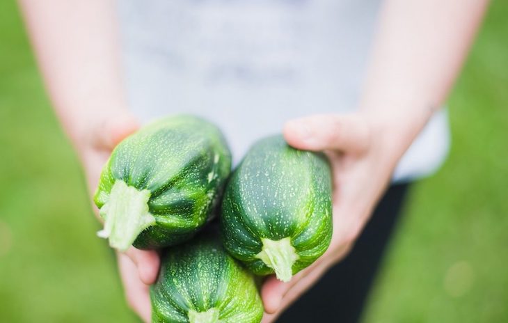 Los cinco mandamientos para apoyar al campo sostenible