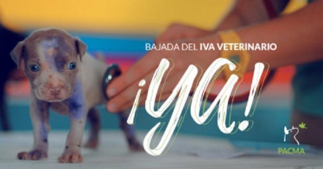 Por la reducción del IVA veterinario