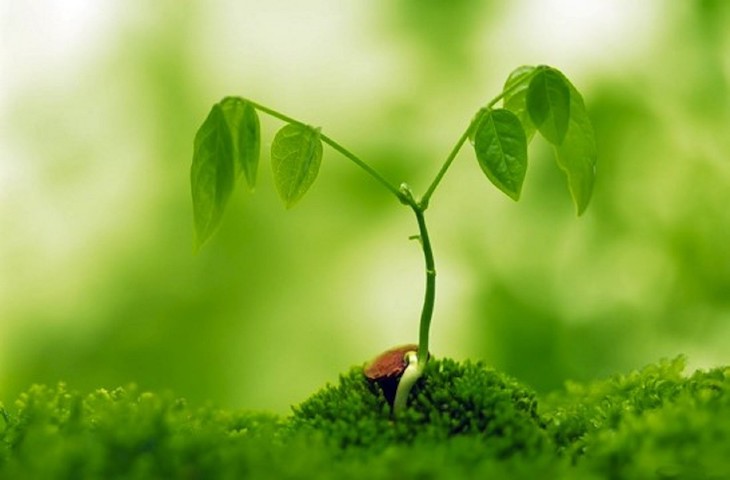 Tecnología verde para desarrollar productos educativos en energía y cambio climático