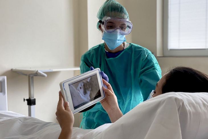 Videollamadas de mascotas a pacientes aislados
