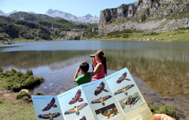 Asturias promociona su oferta de ecoturismo en la feria británica Birdfair Rutland