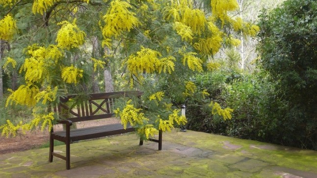 La vida saludable tiene un nombre: Fundación Los Madroños