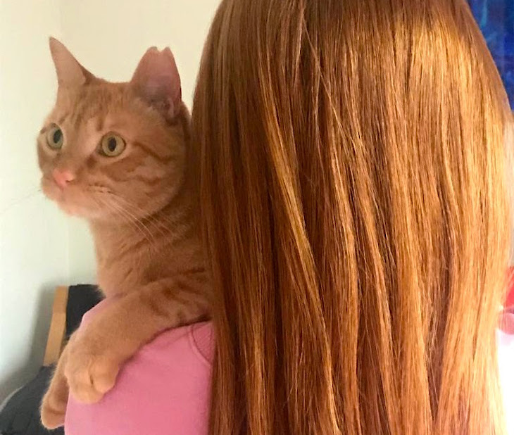 Premio PASSOS Asociaciones que cuidan de personas y sus animales